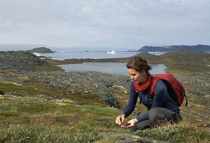 Lichtenau-a-settlement-i-South-Greenland-Guide-to-Greenland5 Lichtenau-a-settlement-i-South-Greenland-Guide-to-Greenland5