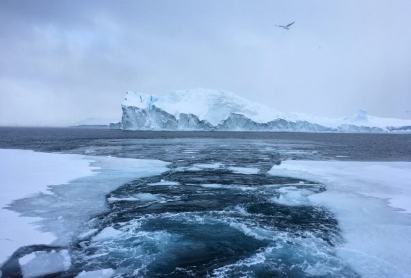 Sailing-among-giants-_-Guide-to-Greenland-Gabriela Sailing-among-giants-_-Guide-to-Greenland-Gabriela