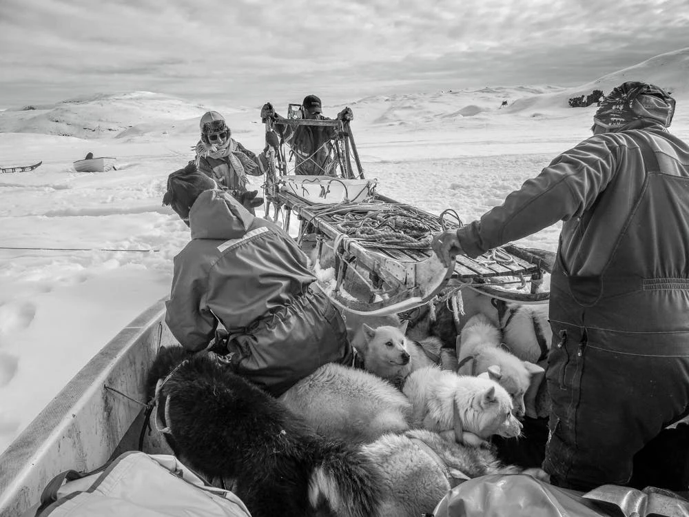 Getting the dog sled onto a boat