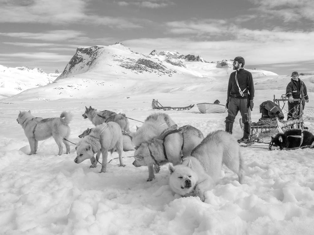 Two men, a dog sled and a bunch of sled dogs