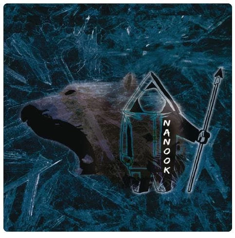 nanook album cover