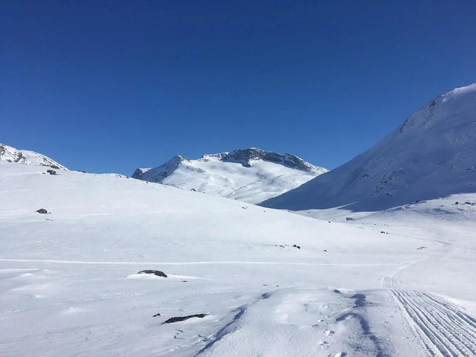 Huge amounts of snow