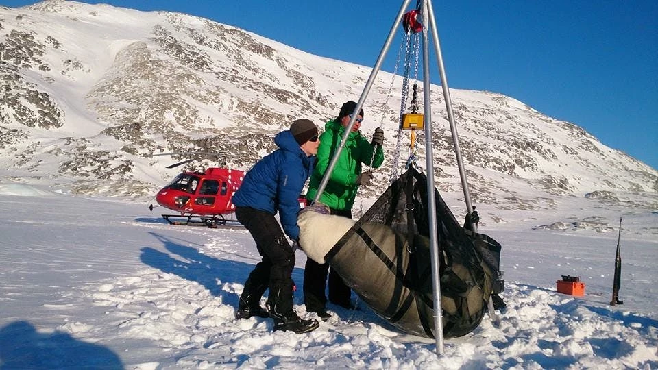 Lifting up a polar bear