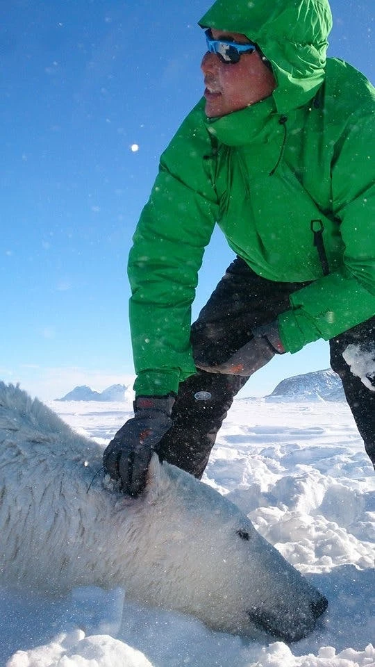 Man standing over a dead polar bear