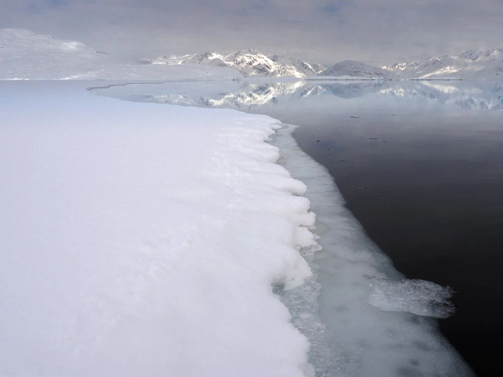 Sea ice