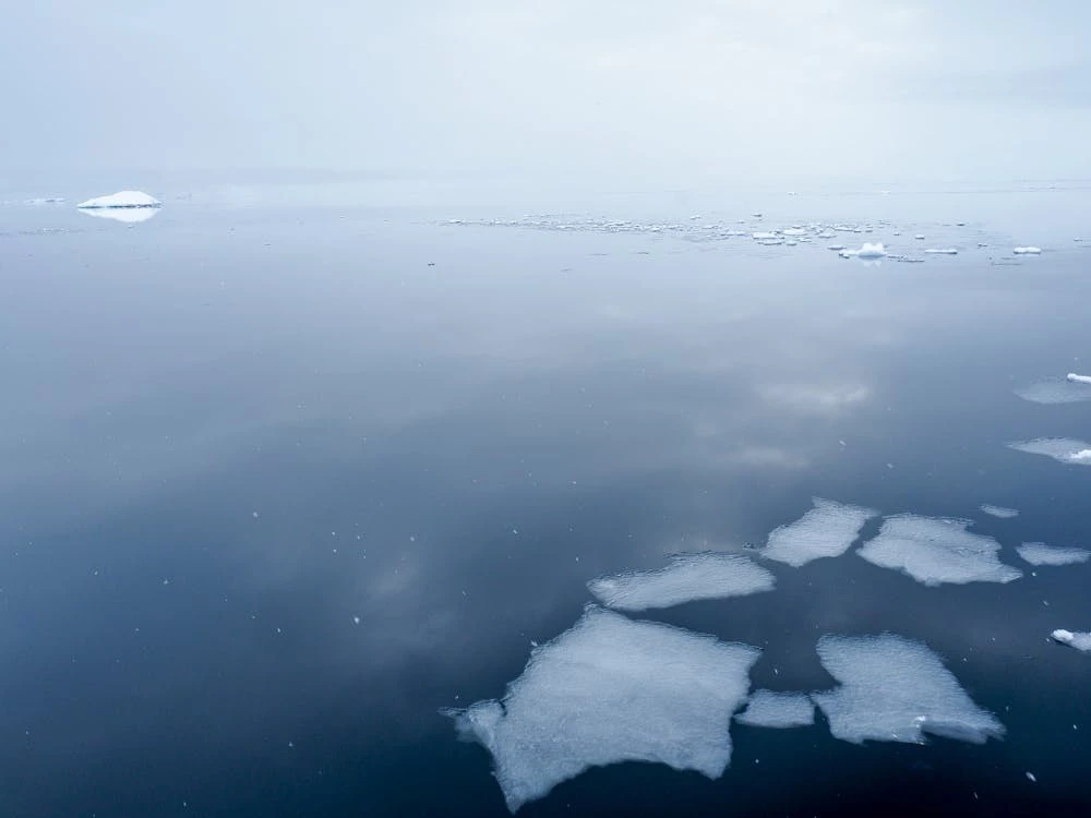 Small chunks of ice in the water