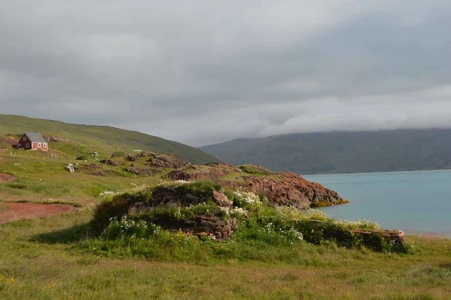 Small hillside in the south of Greenland