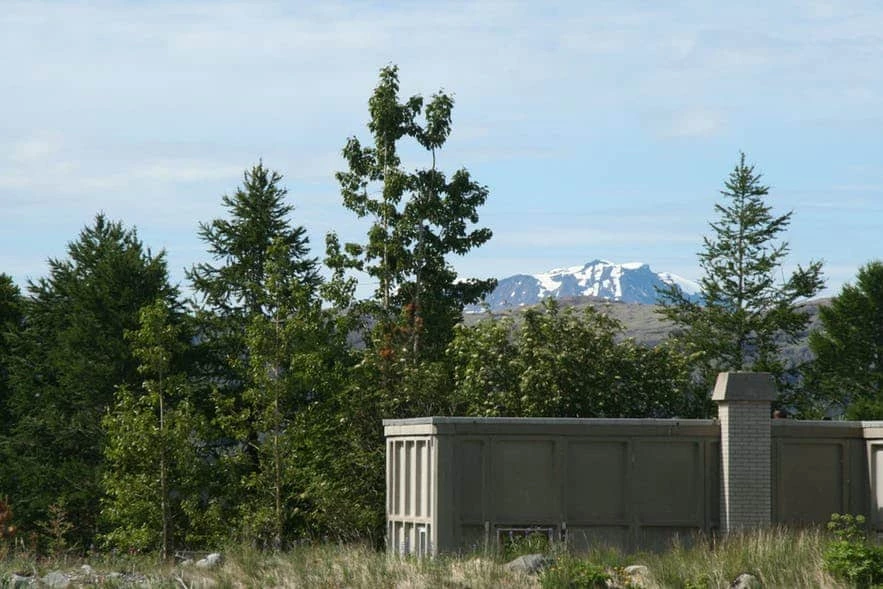 Tall trees near a house in the south of Greenland